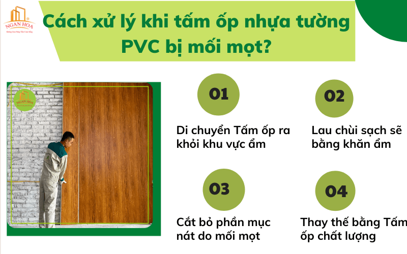 Cách xử lý khi tấm ốp nhựa tường PVC bị mối mọt