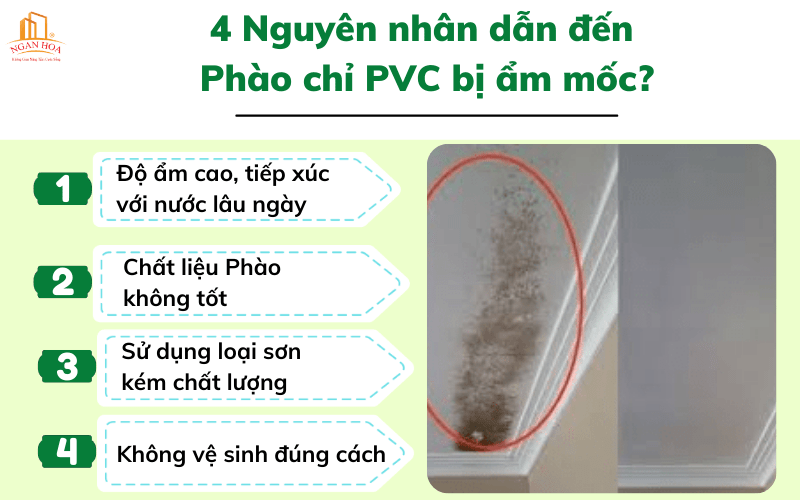 Nguyên nhân dẫn đến Phào chỉ PVC bị ẩm mốc