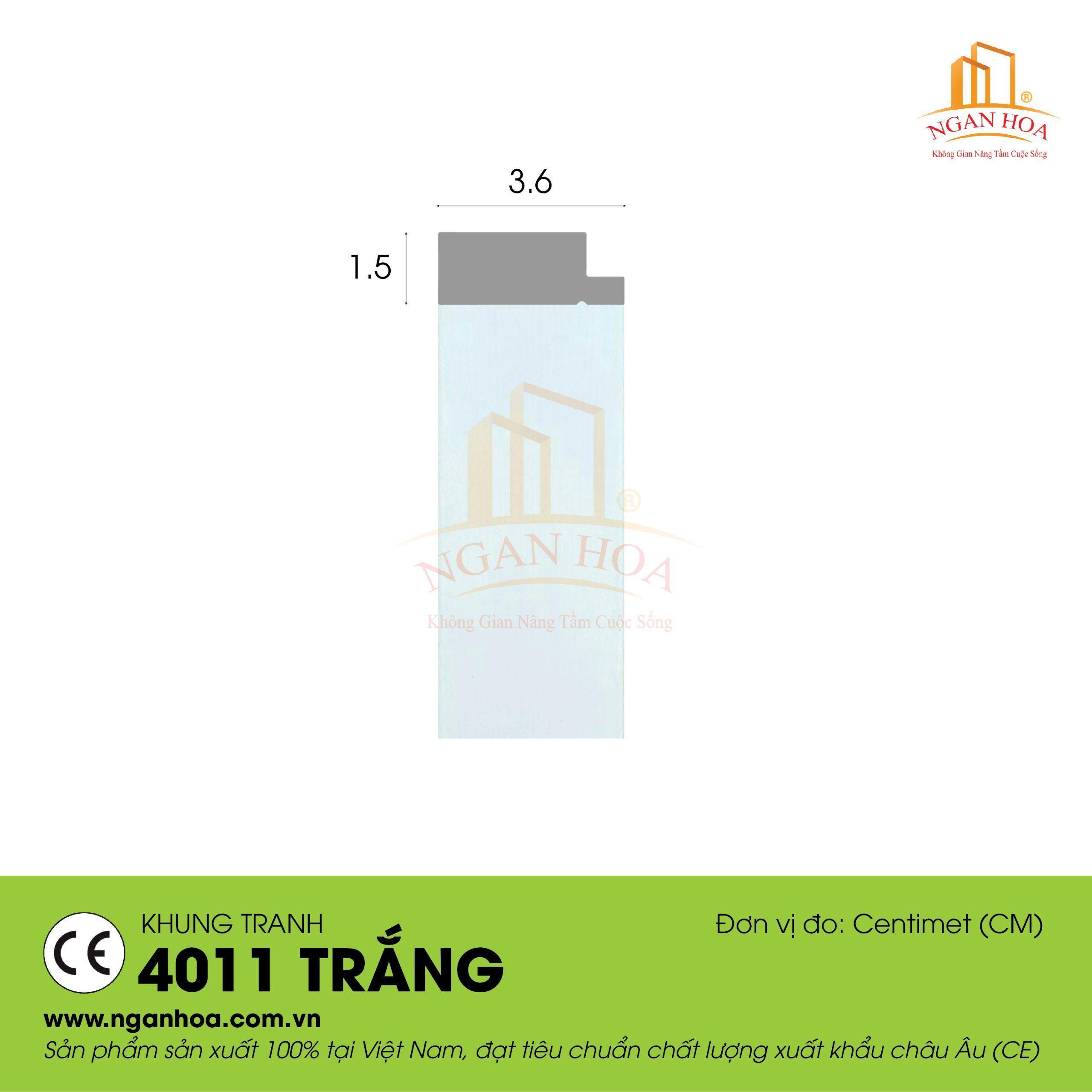 KT 4011 Trang scaled