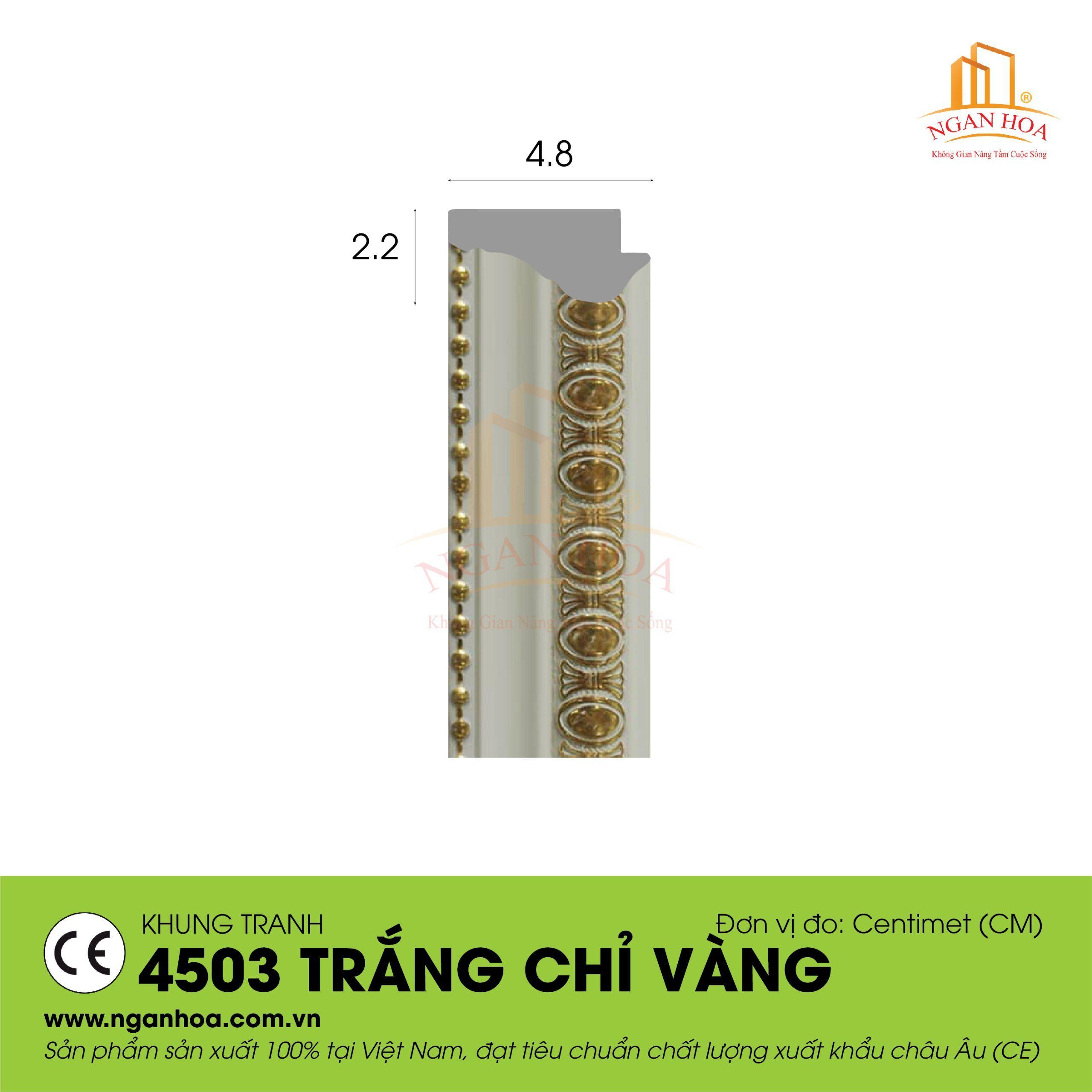 KT 4503 Trang chi vang scaled