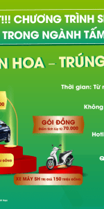 chuong trinh hot bai dang web